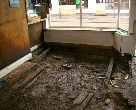 Inside of the pet shop